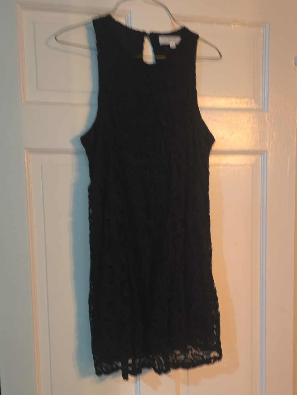 Love Tree Black Lace Mini Dress